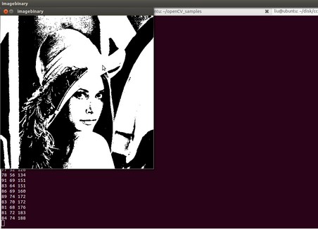 Ubuntu 12.04°װOpenCV 2.3.1,ͼֵ