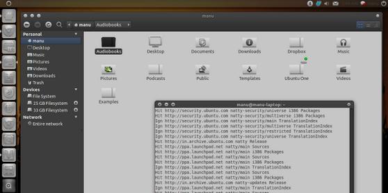 Ubuntu 11.04°װAtolm Theme