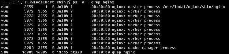 Linux²鿴NginxװĿ¼汾Ϣ?