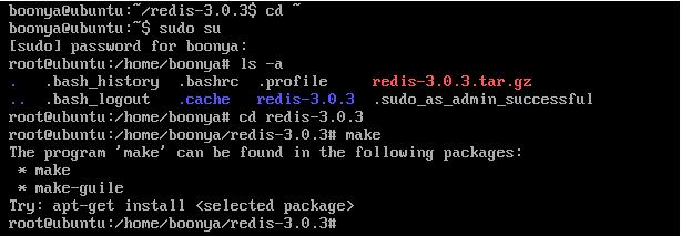 Ubuntu server 15.0.4װRedis