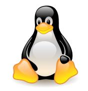 ̸Linux