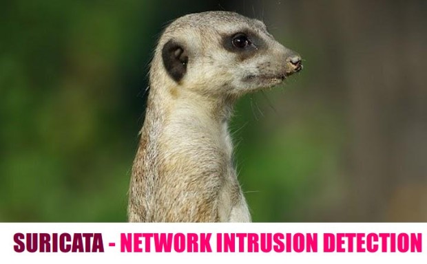 LinuxϵͳϰװSuricataּϵͳ