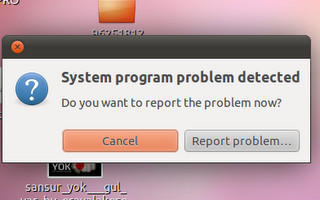 ubuntu16.04system program problem detectedʾ