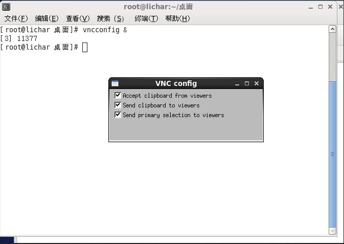 Vnc viewerwindows֮ĸճ