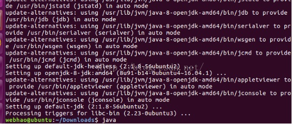 ubuntujavajava