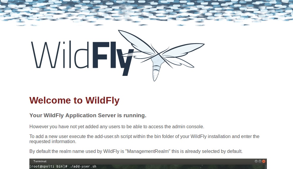 Ubuntu 16.04װWildFly