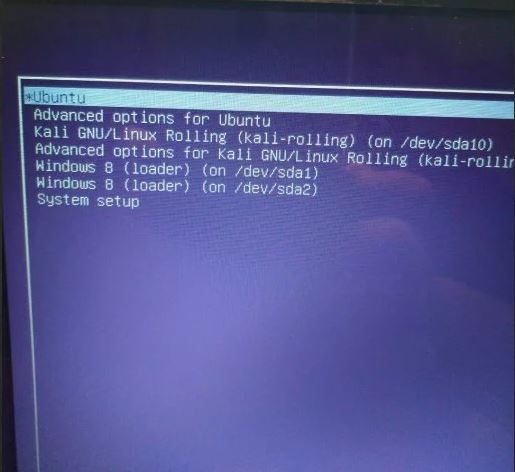 kali linuxwindowsubuntuϵͳ