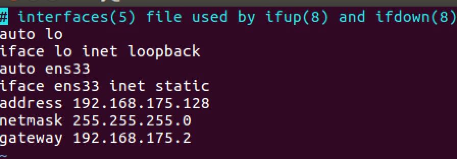 VMware Fusionubuntu16.04̬ipDNS