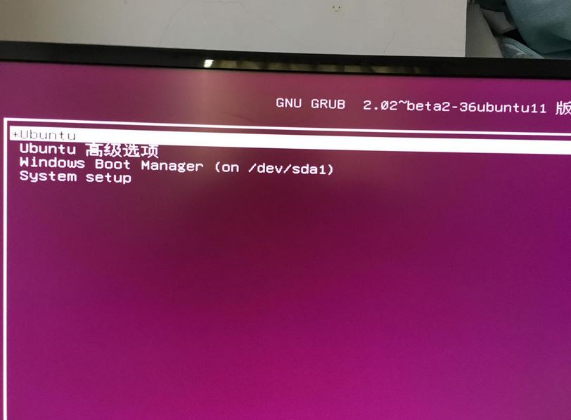 windows10ubuntu 16.10˫ϵͳװ(EFI)