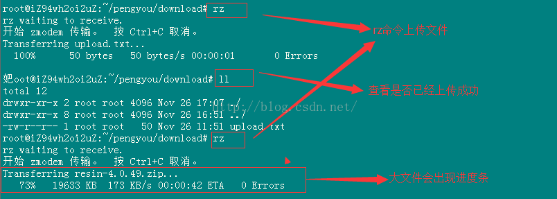 secureCRTϴļUbuntu