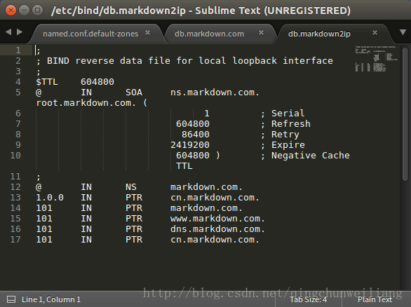 ubuntudns