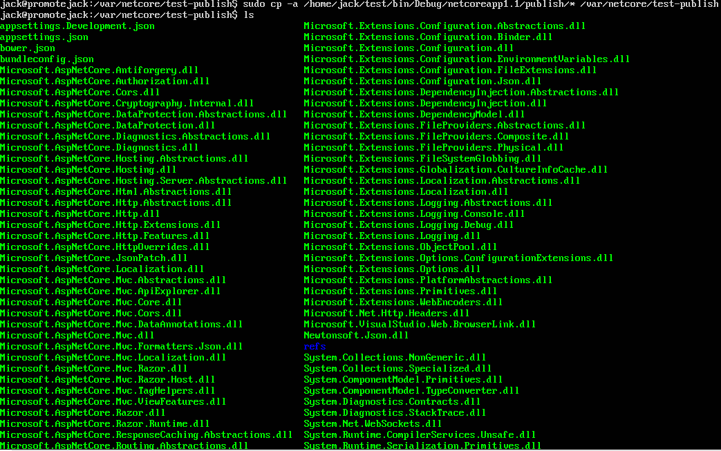 ASP.NET CoreĿUbuntu Server