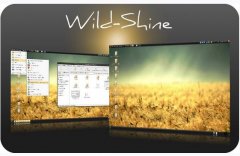 Ubuntu 11.04ƯWild shine