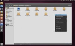 Ubuntu 11.04°װEquinox Evolution Themes