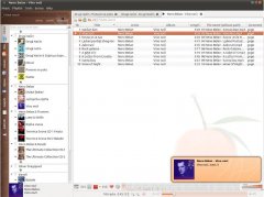 Ubuntu°װƽֲ̨Clementine