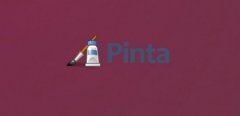 Pinta 1.6UbuntuLinux Mintϰװ