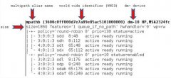 Linux MultiPath·ʵʩ˵