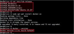LinuxϵͳѧϰUbuntuDocker