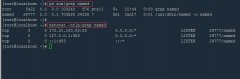 CentOS 6.4װBind DNS