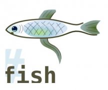 FISHLinuxµһõShell