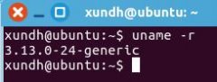 DockerUbuntu°װ