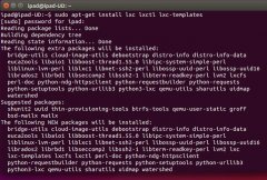 Ubuntu15.04аװLinux Container(LXC)