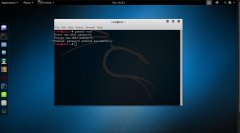 grub2װkali2.0װibusƴ뷨