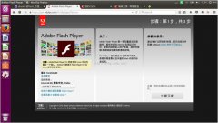 ubuntu(15.10)װflashplayer