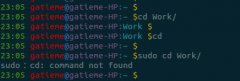 ʾsudo: cd: command not foundĽ취