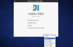 linuxϵͳIntelliJ IDEAİװʹ