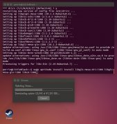 ubuntu14.04LTSװsteam