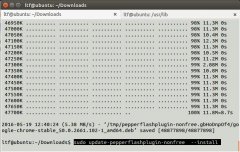 ubuntu 14.04 chromeװflash