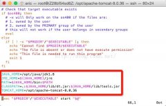 ubuntutomcatstartup.shļ