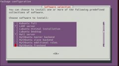 TaskselԶDebian/Ubuntu