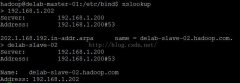 Hadoopͨbind9DNShostsIPӳ䣨ubuntu棩