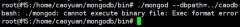 -bash:./mongod:cannot execute binary file:Exec format error