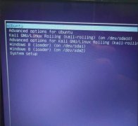 kali linuxwindowsubuntuϵͳ