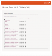 ubuntu 16.10ļϵͳں