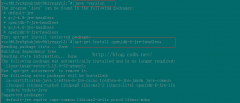 Ubuntuװжopenjdk