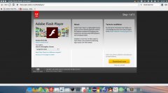 Linux_ChromeAdobe Flash Player is out of date