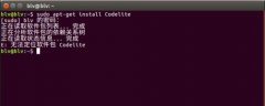 ubuntu16.04װcodelite޷λCodeliteĽ