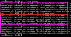 Linux ps -efųǰ̣killǰTomcaṭ