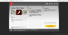 Ubuntuװadobe flash player(PPAPINPAPI)