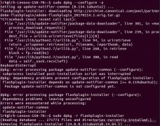 flashpluginֱctrl+z˳ubuntu14.04ȥͼν