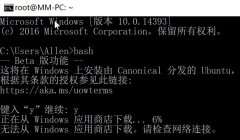 Bash On Windows޷ص