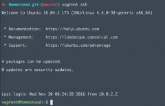 װVagrantװHomesteadʧ