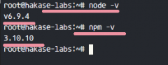 Ubuntuʹpm2NginxNode.jsӦ